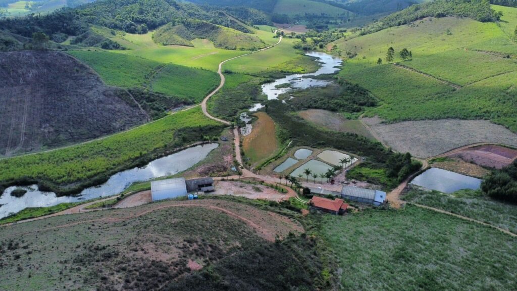 Fazenda Jardim, Dores do Turvo - MG